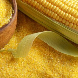 Corn Gluten