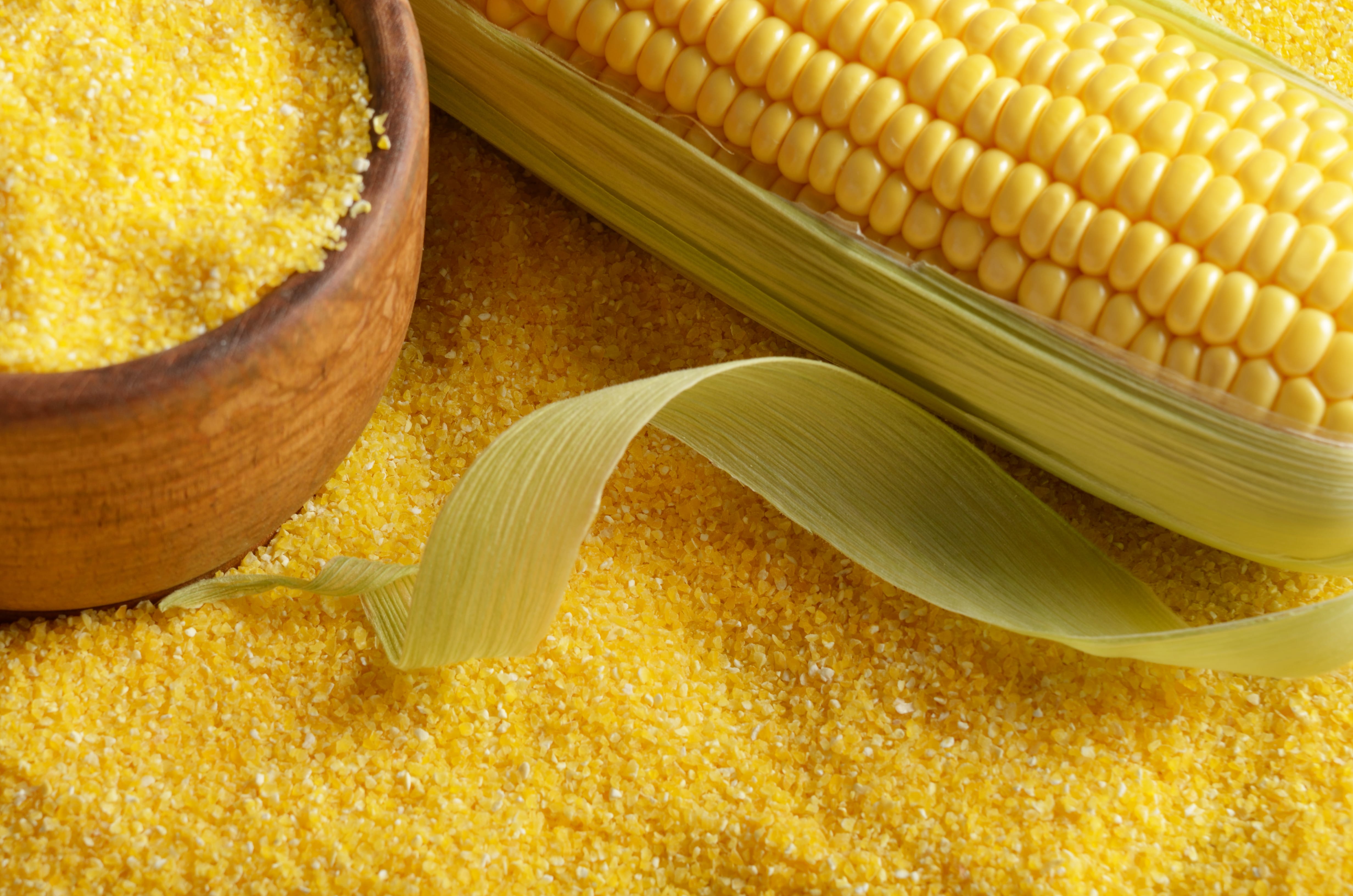 Corn Gluten